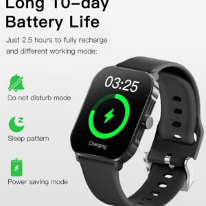 SCYKEI GT battery